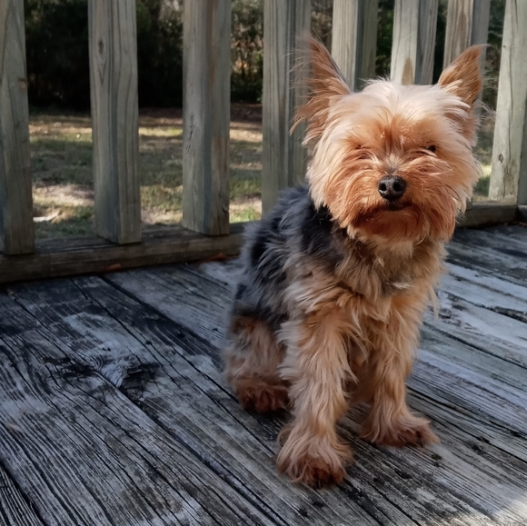 Bio - Picture 2 of 3